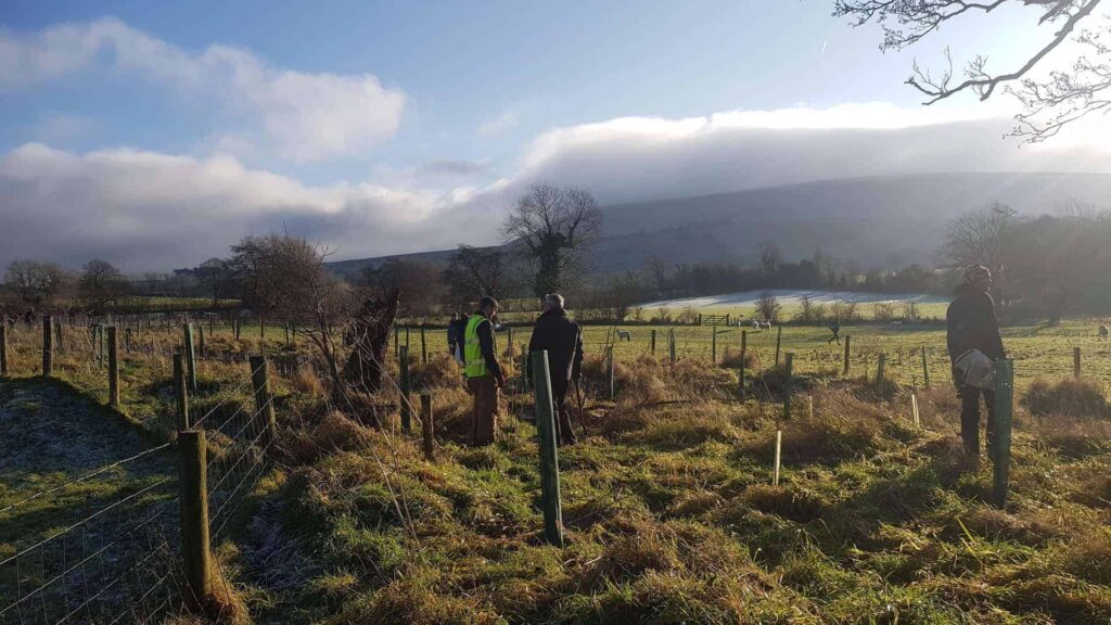 Volunteers planting trees the bottom of Pendle Hill